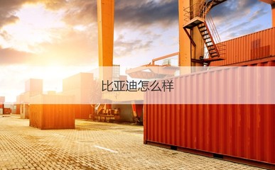 南宁比亚迪薪资与计算机岗位待遇解析及管材行业对比